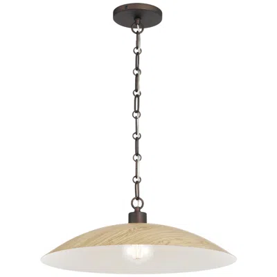 Minka Lavery Minka-lavery Derby 1-light 18.5-in Dark Bronze Indoor Pendant