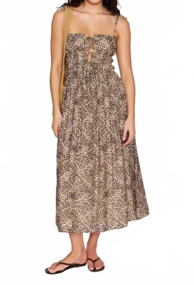Minkpink Tahlia Tie Front Midi Dress In Leopard In Brown