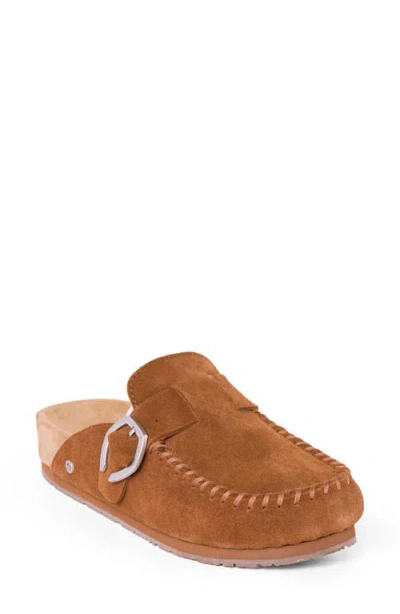 Minnetonka Buckle Clog In Brown