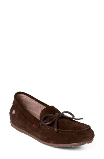 Minnetonka Moc Toe Loafer In Brown