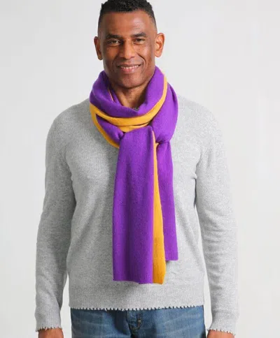 Minnie Rose Cashmere Color Blocked Sport Scarf In Purple