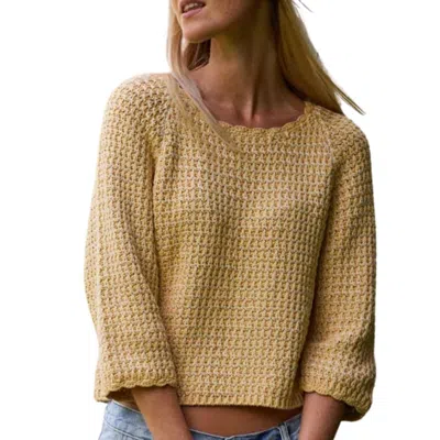 Minnie Rose Chunky Tape Cotton Blend Textured Crew Pullover Sweater In Banana Yellow In Multi