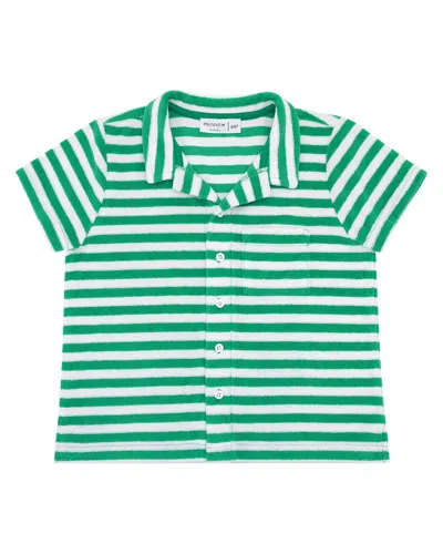 Minnow Kids'  French Terry Button-down Shirt In Green