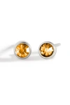 Mint & Lily Birthstone Bezel Studs
