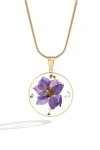 Mint & Lily Pressed Birth Flower Necklace In Gold