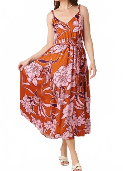 Mint Aura Dress In Umber In Multi