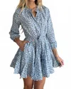 Mint Dreamy Daisy Long Sleeve Mini Dress In Blue And White Floral Print In Blue