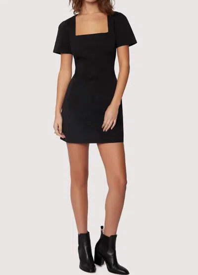 Mint Giardino Mini Dress In Black