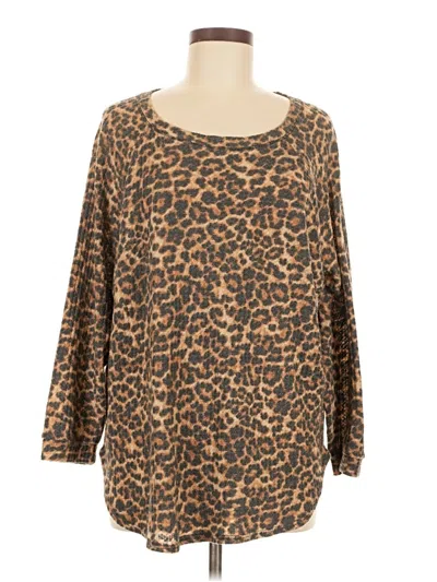 Pre-owned Mint Pullover Sweater In Brown
