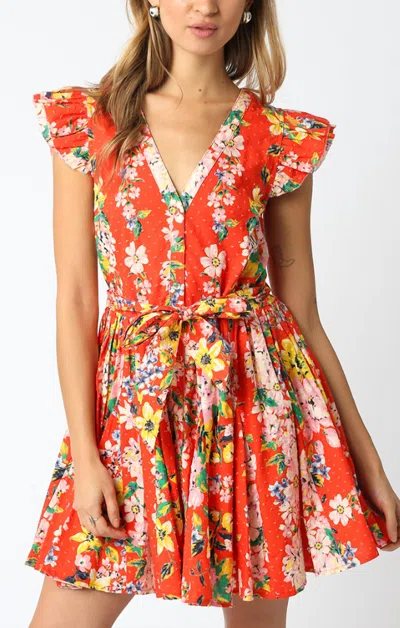 Mint Sandra Flutter Sleeve Mini Dress In Orange