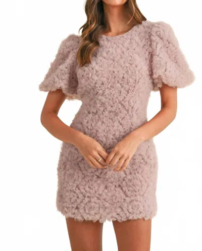 Mint Textured Floral Applique Mini Dress In Mauve In Multi