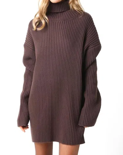 Mint Turtleneck Sweater Tunic In Coffee Bean In Multi