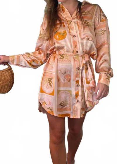 Mint Women's Golden Sahara Dress In Multi