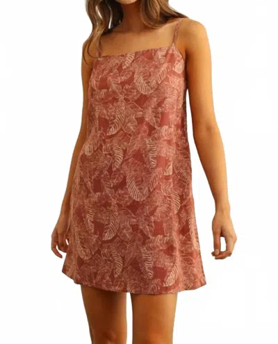 Miou Muse Leaf Print Mini Dress In Brick In Red
