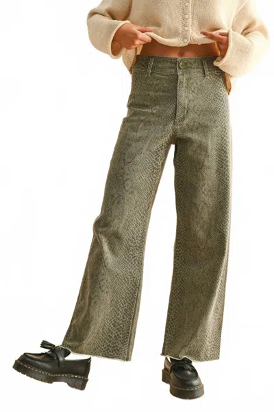 Miou Muse Snake Print Pants In Olive In Green