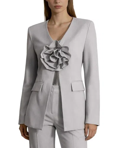 Mira Richi Jacket In Gray