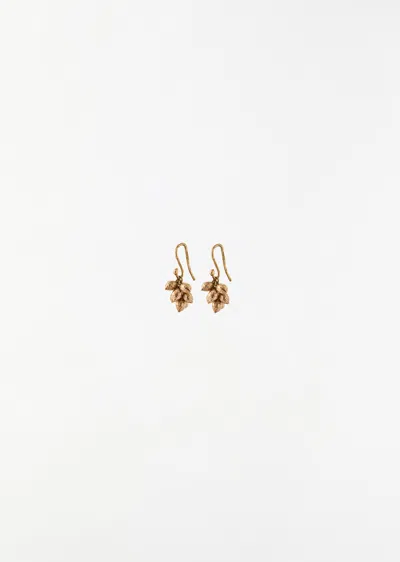 Mira Stella Sea Kale Seed Earrings In Gold