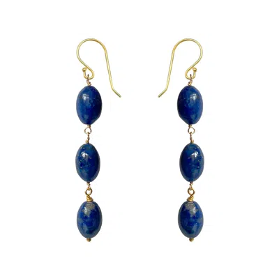 Mirabelle Jewellery Women's Blue Drop Lapis Lazuli Earrings
