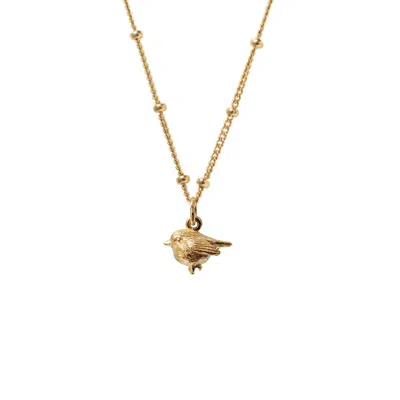Mirabelle Jewellery Women's Gold Robin Charm On Biba Chain