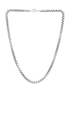 Miranda Frye Jasper 20 Necklace In Metallic Silver