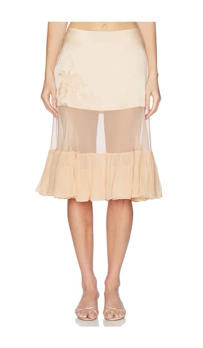 Mirror Palais Silk Chiffon Crinoline Skirt In Brown
