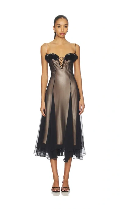 Mirror Palais Valentina Dress In Black