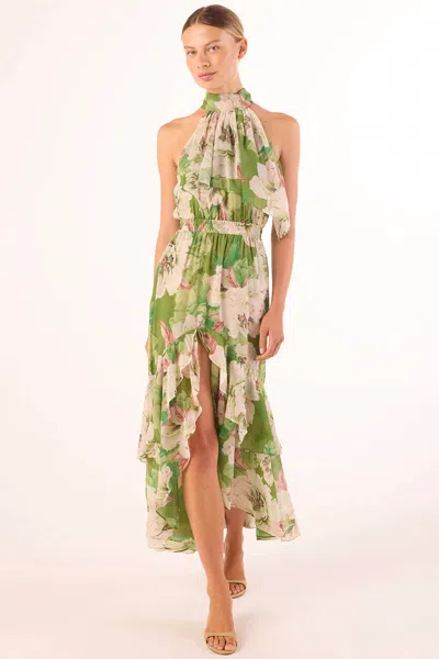 Misa Aneva Dress In In Full Bloom In Animal Print