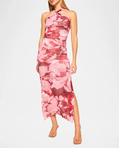 Misa Elaine Floral Mesh Halter Midi Dress In Flora Rosada Mesh