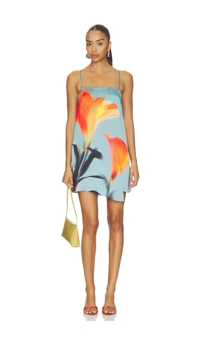 Misa Inez Mini Dress In Fire Petal