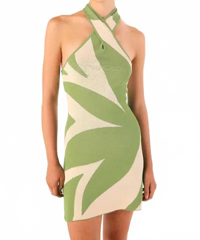 Misa Ishani Knit Jacquard Mini Dress In Green