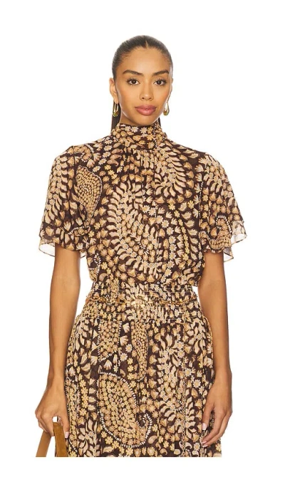 Misa Kaye Top In Brown