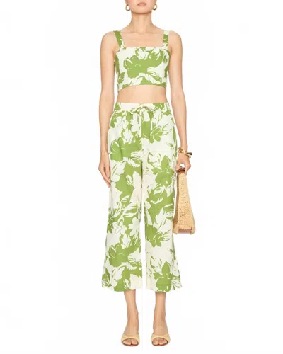 Misa Lois Sleeveless Crop Top In Green Goddess Poplin In Multi