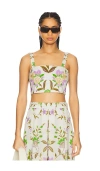 Misa Lois Crop Top In White