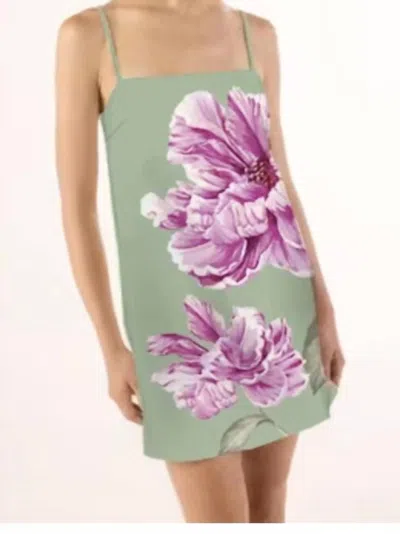 Misa Maxine Dress In Large Flora In Multi