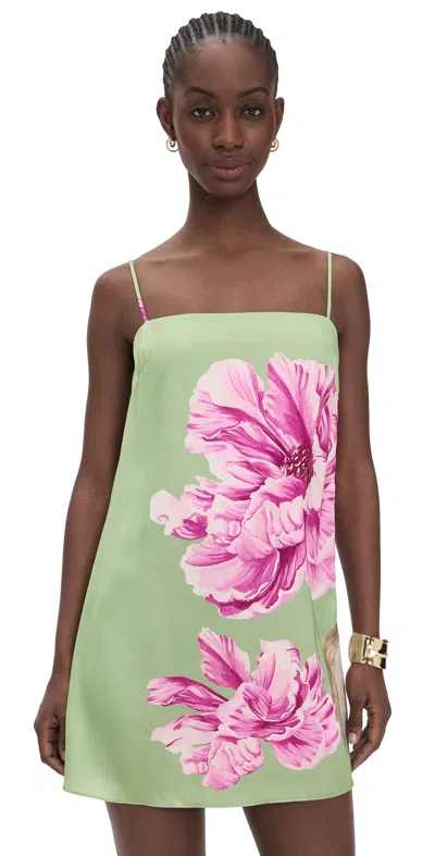 Misa Maxine Dress Large Flora In Green