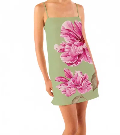 Misa Maxine Mini Dress In Green In Pink