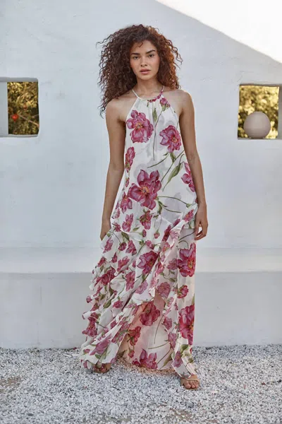 Misa Novah Halter Maxi Dress In Fuchsia Blooms In Animal Print