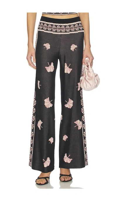 Misa Nuela Pant In Black