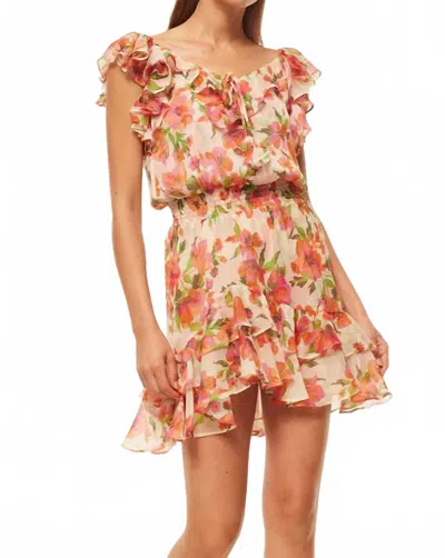 Misa Solmaz Dress In Palmarei Blooms In Animal Print