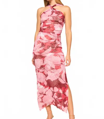 Misa Women's Elaine Dress In Flora Rosada Mesh In Pink