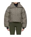 Misbhv Monogram-print Cropped Puffer Jacket In Brown