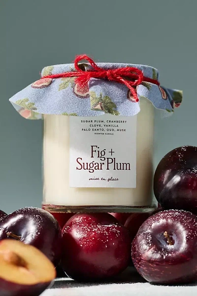Mise En Place By Anthropologie Mise En Place Fruity Fig + Sugar Plum Glass Candle