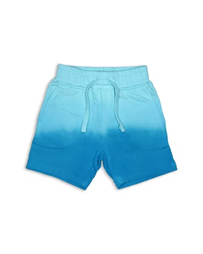 Mish Mish Boys' Dip Shorts - Little Kid In Turquoise