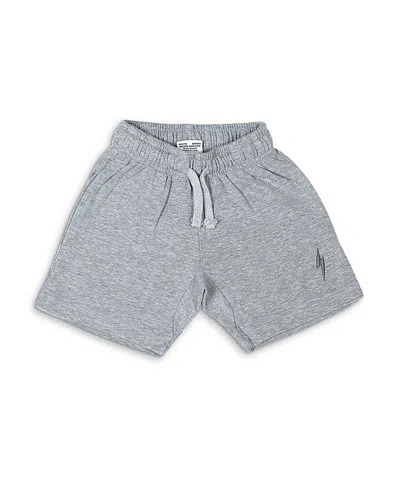 Mish Mish Boys' Solid French Terry Shorts - Toddler, Little Kid In Gray