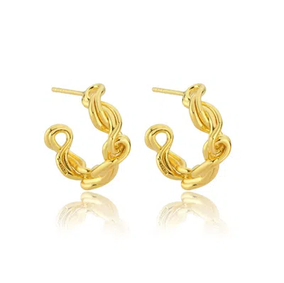 Mishka Women's Twist Gold Vermeil Intertwined Thorn Earrings