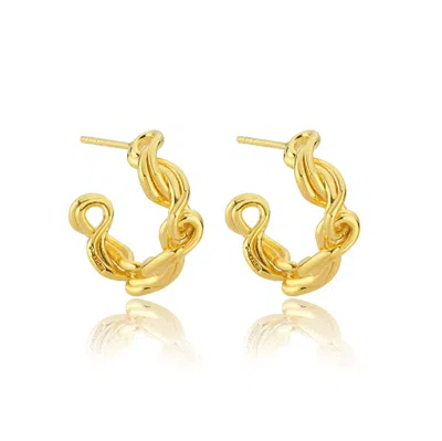 Mishka Women's Twist Hoop Earrings Gold