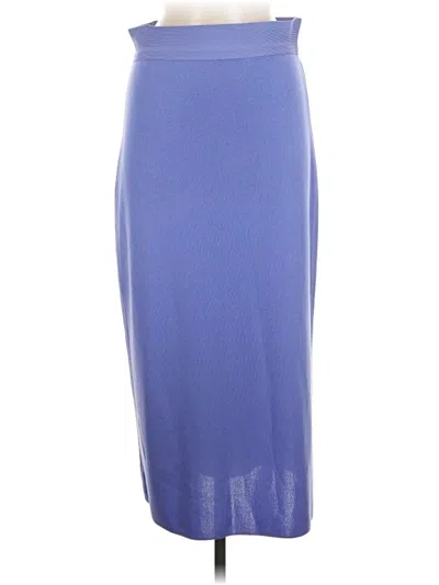Pre-owned Misook Formal Skirt In Blue