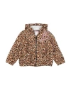 Miss Blumarine Newborn Girl Sweatshirt Beige Size 3 Cotton, Elastane In Multi