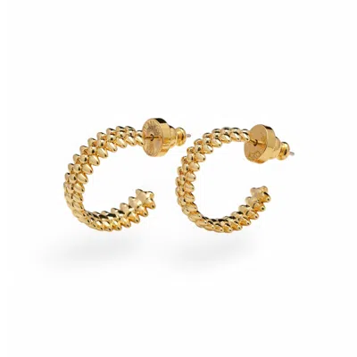 Miss Cecilia Women's Gold Amber Hoops Earrings