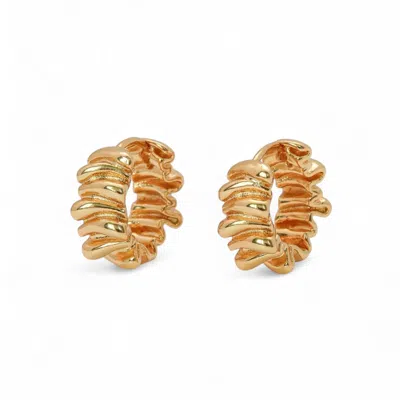 Miss Cecilia Women's Gold Aurum Crease Hoops